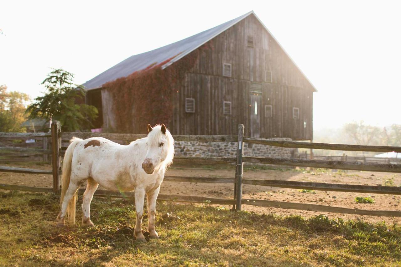 Gettysburg Battlefield Bed & Breakfast Inn 외부 사진